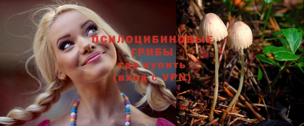 PSILOCYBIN Алексеевка