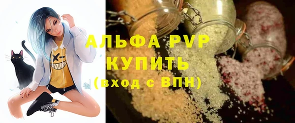 тгк Абаза