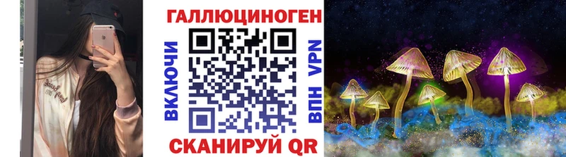 Галлюциногенные грибы Cubensis Куровское